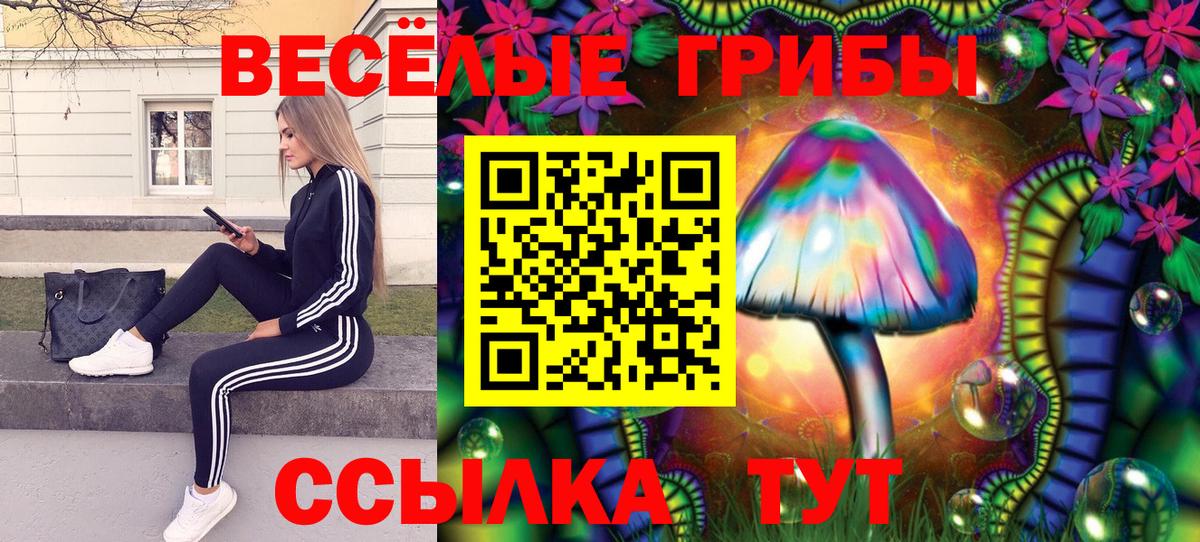 Галлюциногенные грибы MAGIC MUSHROOMS  Вход с VPN  Долгопрудный 