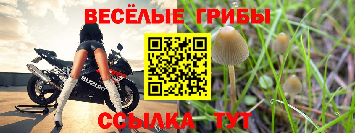 Псилоцибиновые грибы MAGIC MUSHROOMS Долгопрудный